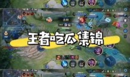 吃瓜王者视频在线观看免费,揭秘热门视频背后的精彩故事